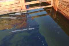 IMG-20190822-WA0002