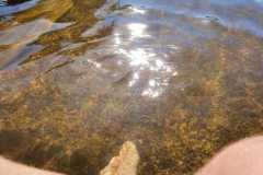 IMG-20200812-WA0002