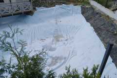 IMG-20200627-WA0012